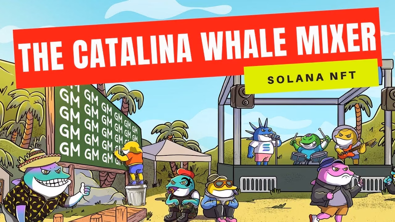 Catalina Whale Mixer key art: cartoon whales on a beach stage under a red The Catalina Whale Mixer banner